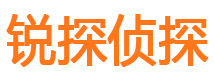 陈仓侦探公司